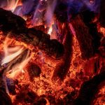 Dinas Damkar Bintan Tangani Pohon Tumbang di SPBU